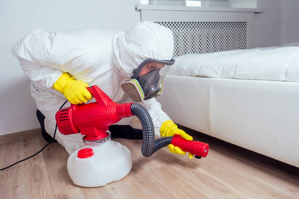 Best Exterminator Services  in Bardstown, KY